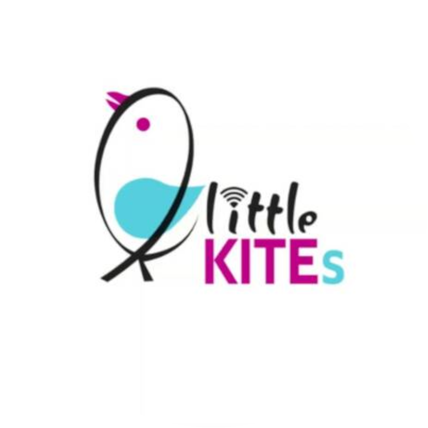 Little Kites